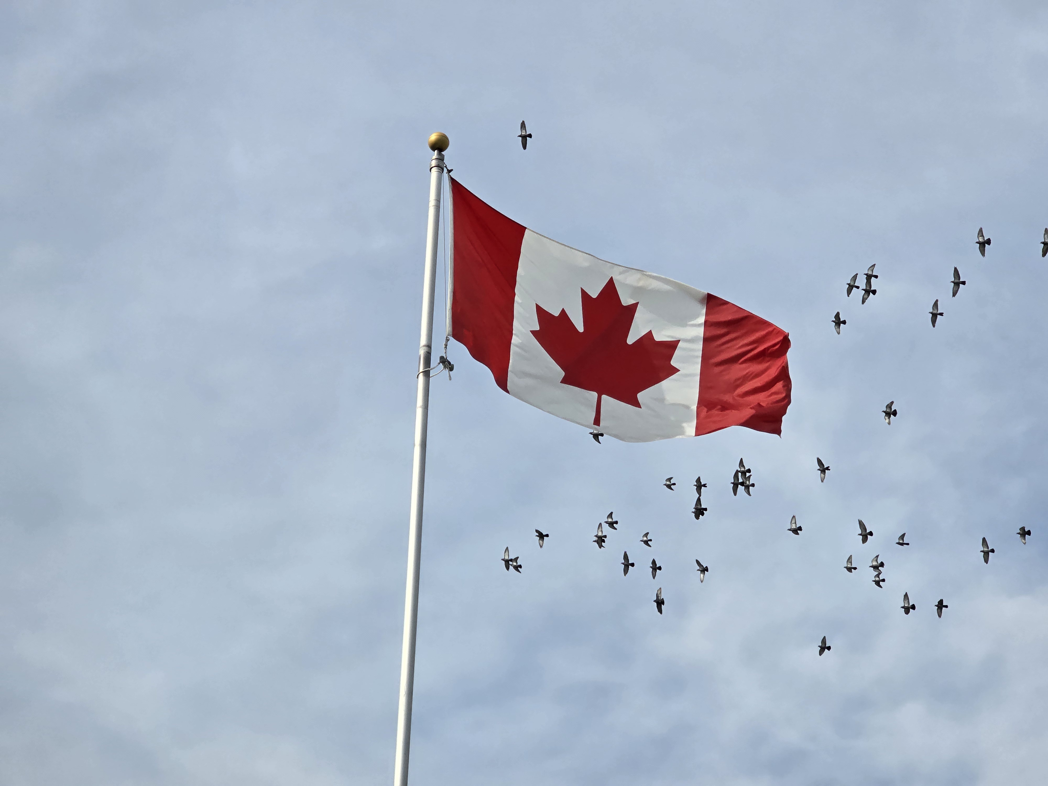 ¿Cómo funcionas las elecciones en Ontario?